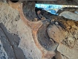 <b>CATERPILLAR</b> 336F L Crawler Excavator