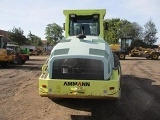 RAMMAX ASC 110 road roller (combined)