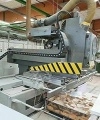 <b>MORBIDELLI</b> AUTHOR 510 Processing Centre