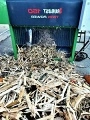 ROBUST P 150 TWIN electric wood chipper
